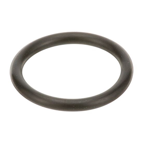 Picture of O-Ring,Plunger (Osw) for AllPoints Part# 1001044