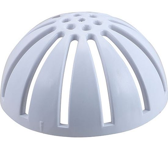 Picture of Strainer, Drain, Dome for AllPoints Part# 1021226