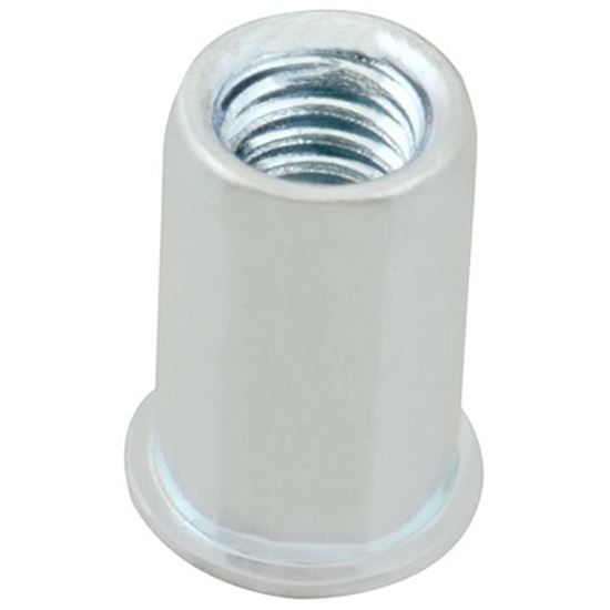 Picture of Insert, Threaded(1/4-20, 100) for AllPoints Part# 1421153