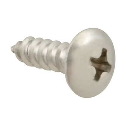 Picture of Screw, Sm/Th/Ss 100 for AllPoints Part# 6120608