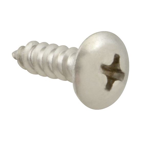 Picture of Screw, Sm/Th/Ss 100 for AllPoints Part# 6120608