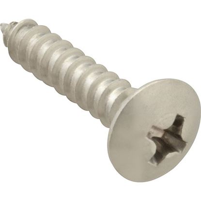 Picture of Screw, Sm/Th/Ss 100 for AllPoints Part# 6120612