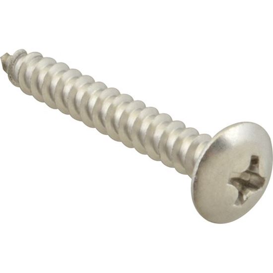 Picture of Screw, Sm/Th/Ss 100 for AllPoints Part# 6120616