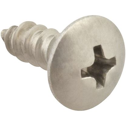 Picture of Screw, Sm/Th/Ss 100 for AllPoints Part# 6120808