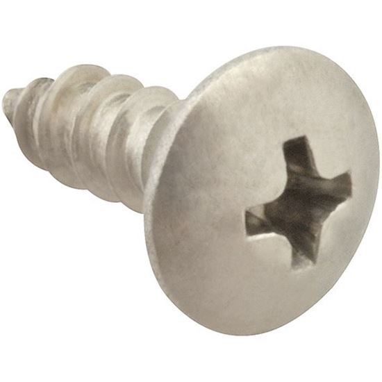 Picture of Screw, Sm/Th/Ss 100 for AllPoints Part# 6120808