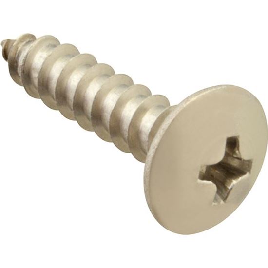 Picture of Screw, Sm/Th/Ss 100 for AllPoints Part# 6120812