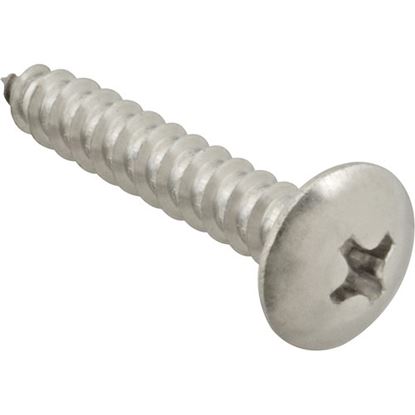 Picture of Screw, Sm/Th/Ss 100 for AllPoints Part# 6120816