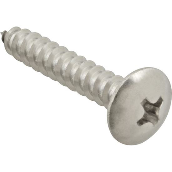 Picture of Screw, Sm/Th/Ss 100 for AllPoints Part# 6120816