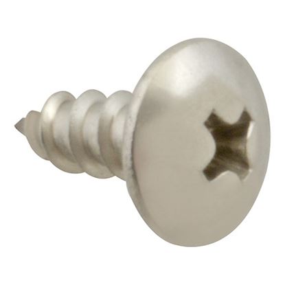 Picture of Screw, Sm/Th/Ss 100 for AllPoints Part# 6121008