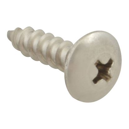 Picture of Screw, Sm/Th/Ss 100 for AllPoints Part# 6121012