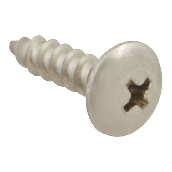Picture of Screw, Sm/Th/Ss 100 for AllPoints Part# 6121012