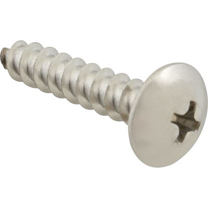 Picture of Screw, Sm/Th/Ss 100 for AllPoints Part# 6121016