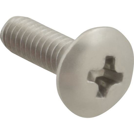 Picture of Screw Mach/Th/Ss 100 for AllPoints Part# 6220608
