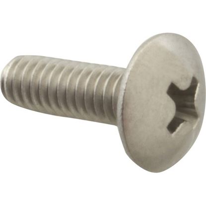 Picture of Screw Mach/Th/Ss 100 for AllPoints Part# 6220808