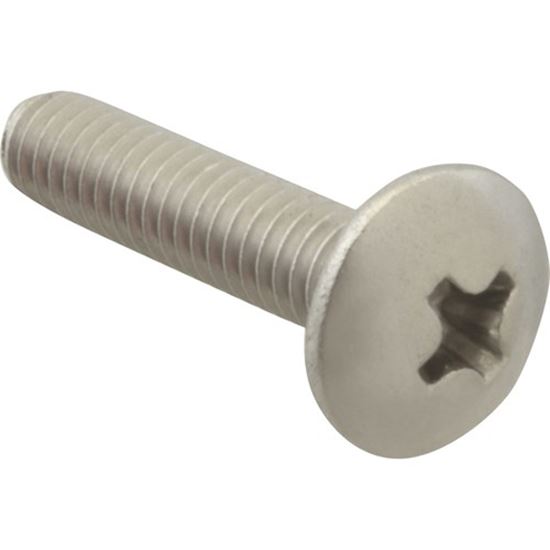 Picture of Screw Mach/Th/Ss 100 for AllPoints Part# 6220812