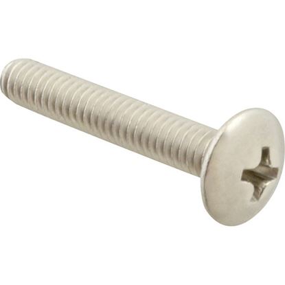 Picture of Screw Mach/Th/Ss 100 for AllPoints Part# 6220816