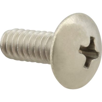 Picture of Screw Mach/Th/Ss 100 for AllPoints Part# 6221008