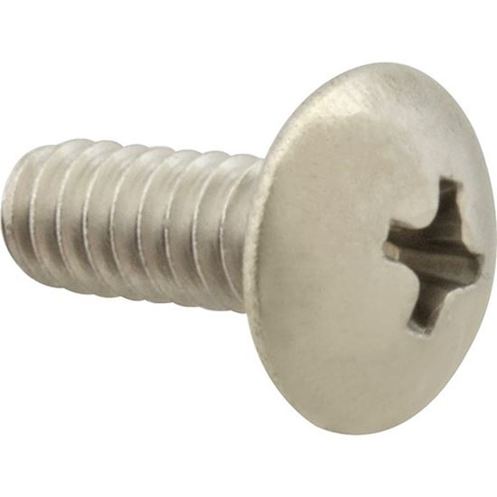Picture of Screw Mach/Th/Ss 100 for AllPoints Part# 6221008
