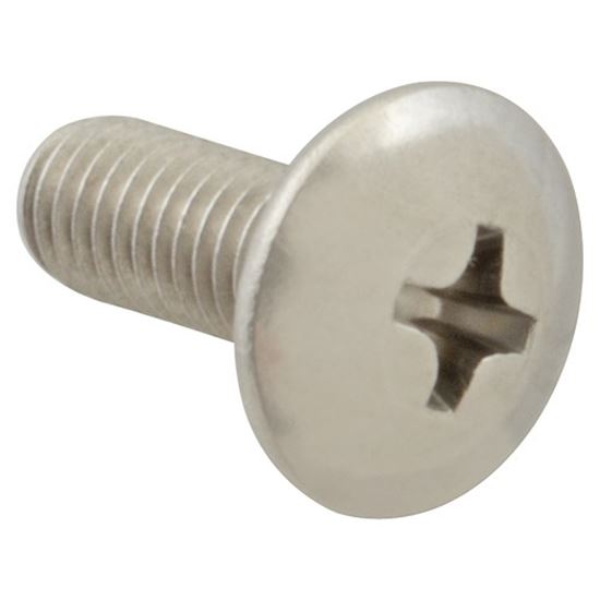 Picture of Screw Mach/Th/Ss 100 for AllPoints Part# 6221108