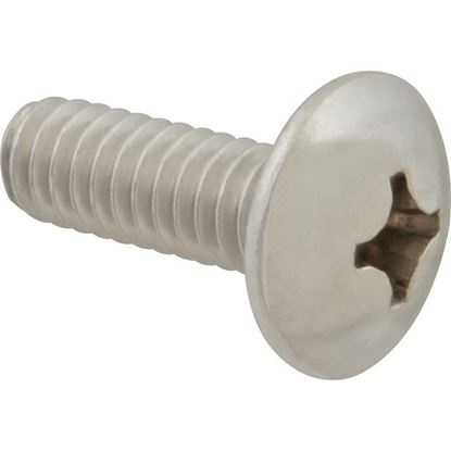 Picture of Screw Mach/Th/Ss 100 for AllPoints Part# 6221412
