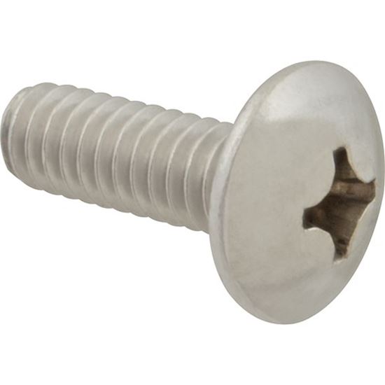 Picture of Screw Mach/Th/Ss 100 for AllPoints Part# 6221412