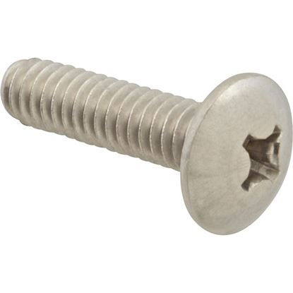 Picture of Screw Mach/Th/Ss 100 for AllPoints Part# 6221416