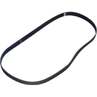 Picture of Saniserve Serpentine Belt for Saniserv Part# 58880