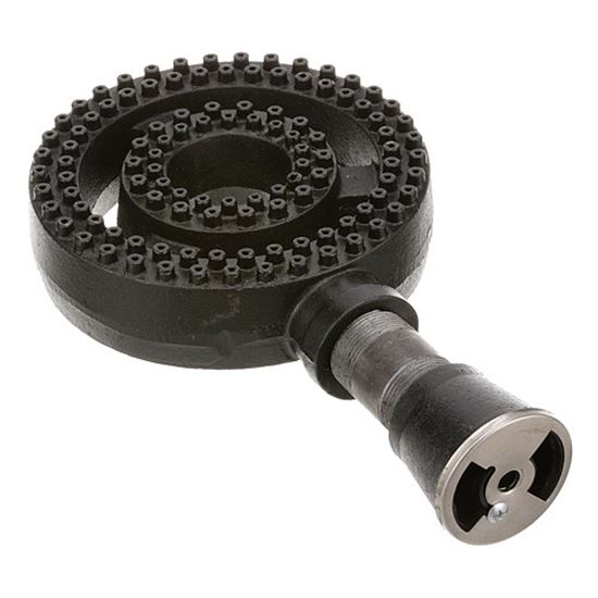 Picture of Burner Assembly for AllPoints Part# 8011601