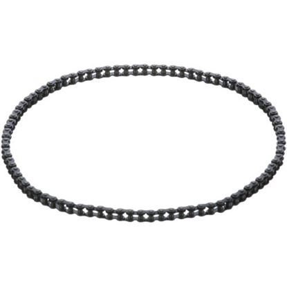 Picture of Drive Chain for Roundup - AJ Antunes Part# 2150294