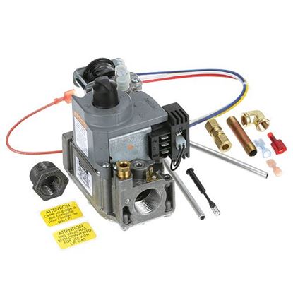 Picture of Gas Valve Repl Kit,2-Stg for Cleveland Part# FK113048