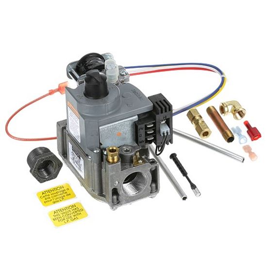 Picture of Gas Valve Repl Kit,2-Stg for Cleveland Part# 1057821
