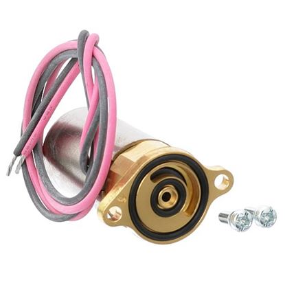 Picture of Solenoid Coil, 24V for Blodgett Part# 39795