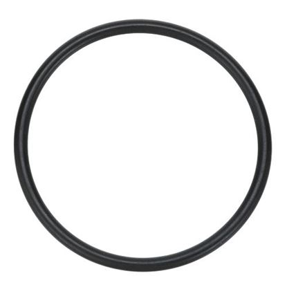 Picture of O-Ring Lower for Manitowoc Part# 000005583