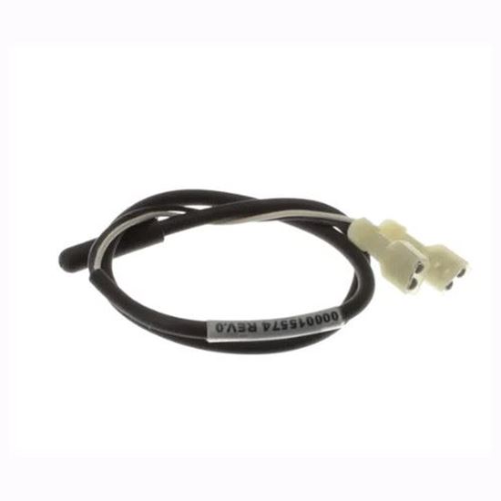 Picture of Thermistor for Manitowoc Part# 000015574