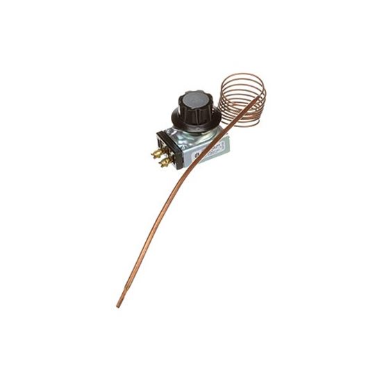 Picture of Thermostat for Duke Part# 600178