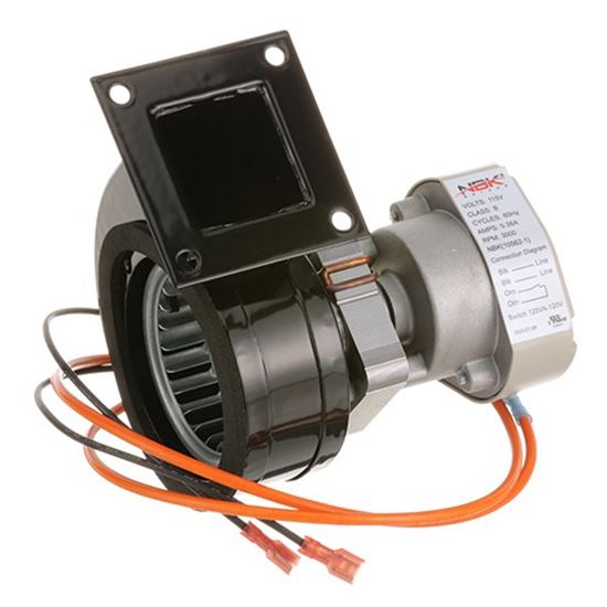 Picture of Blower Motor, 120V/60Hz for Duke Part# 600249