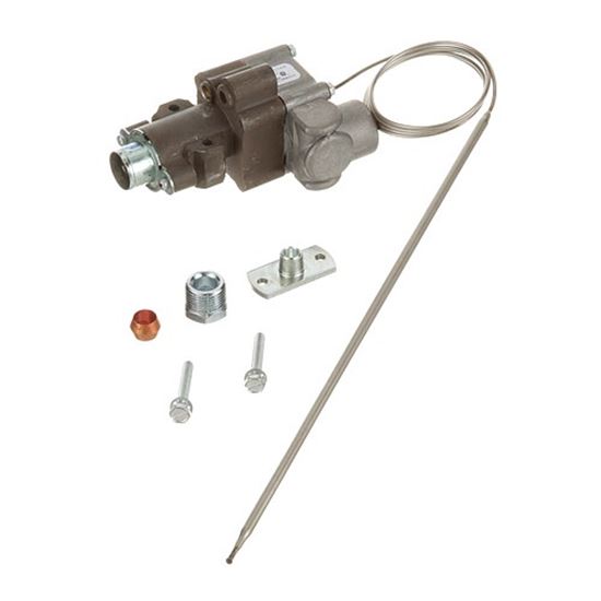 Picture of Thermostat Kit, Bjwa, 36 Inch Capillary for AllPoints Part# 8017043