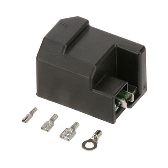 Picture of Ignition Module Replacem Ent for AllPoints Part# 8017881