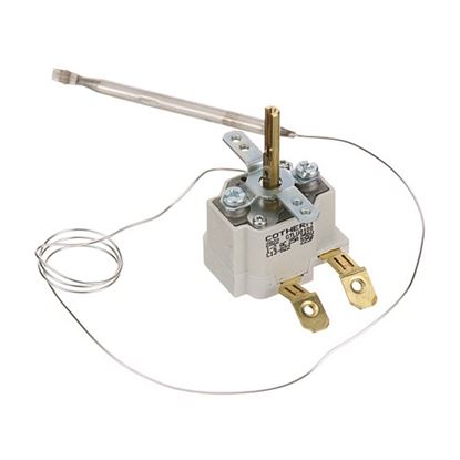 Picture of Thermostat for AllPoints Part# 8018014