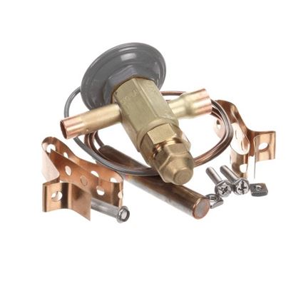 Picture of Thermo Expansion Valve for AllPoints Part# 8401222