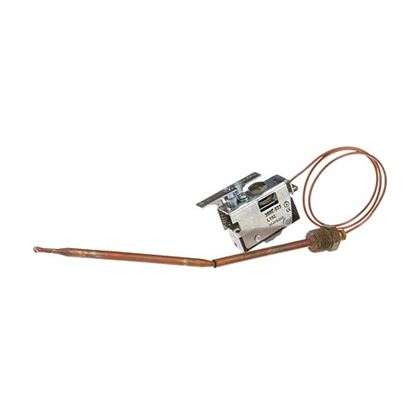 Picture of Thermostat for Hatco Part# 2.16.003.00