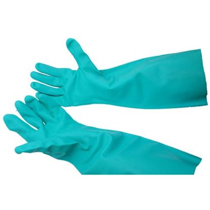 Picture of Glove, Green - Dish Med (Pair) for AllPoints Part# 1421725