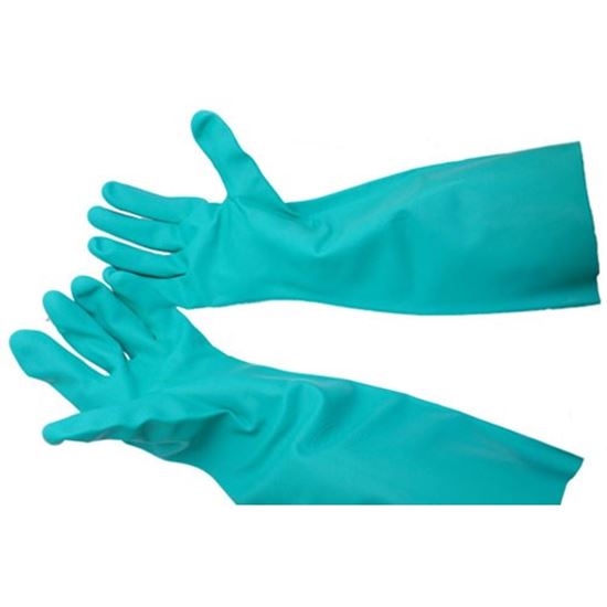 Picture of Glove, Green - Dish Med (Pair) for AllPoints Part# 1421725