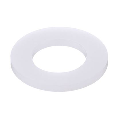 Picture of Nylon Prplr Drive Washer Globe, For Cm12 for Globe Part# -L00444