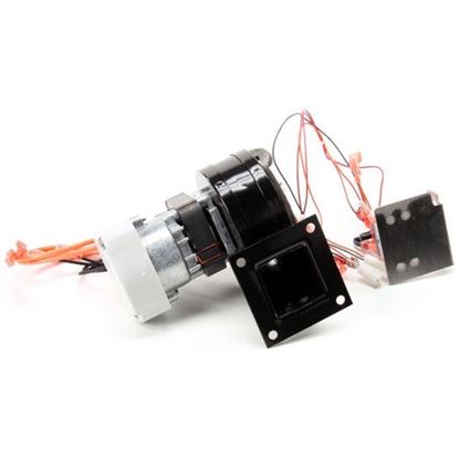Picture of Repl 120V/60Hz Blowr Kit  for Duke Part# 600250