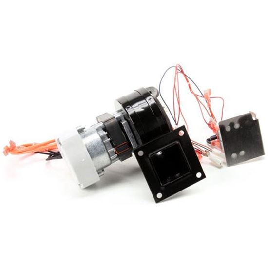 Picture of Repl 120V/60Hz Blowr Kit  for Duke Part# 600250
