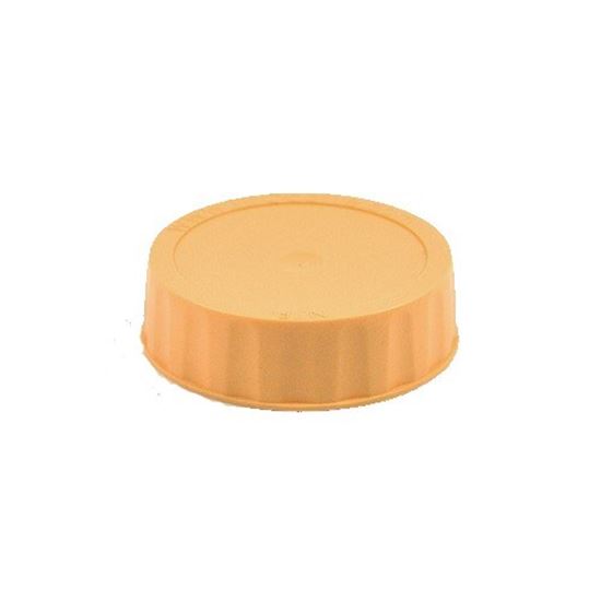 Picture of Cap, Label (Cream) Pk/6  for AllPoints Part# 8017894