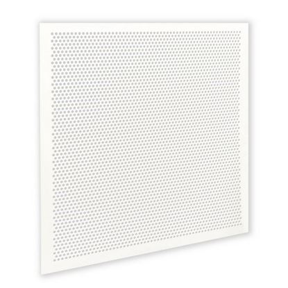 Picture of 23.75X23.75 Ceiling Pane Perforated 1/4 In Hole for AllPoints Part# 8018540
