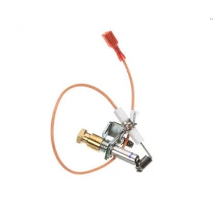 Picture of Pilot/Ignitor Assy  for Star Mfg Part# SK9-EZG-995
