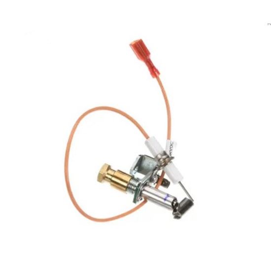 Picture of Pilot/Ignitor Assy  for Star Mfg Part# SK9-EZG-995